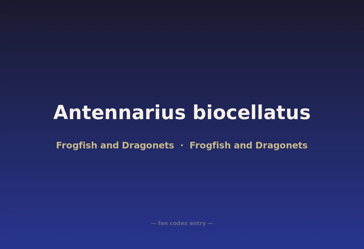 Antennarius biocellatus