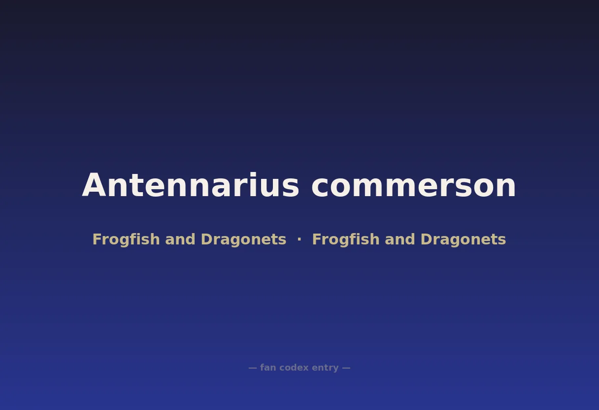 Antennarius commerson