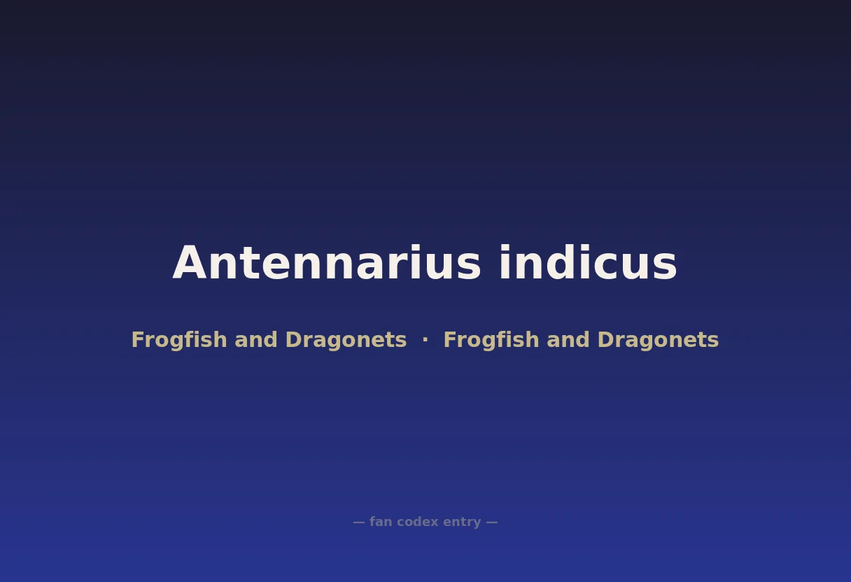 Antennarius indicus