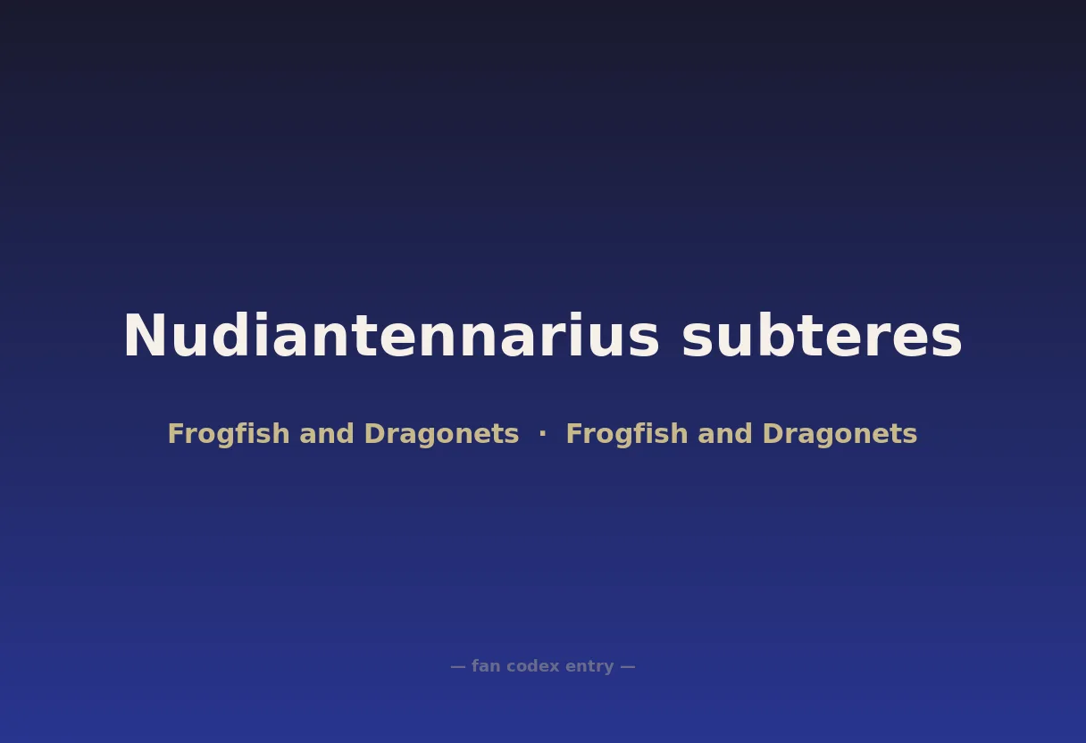Nudiantennarius subteres