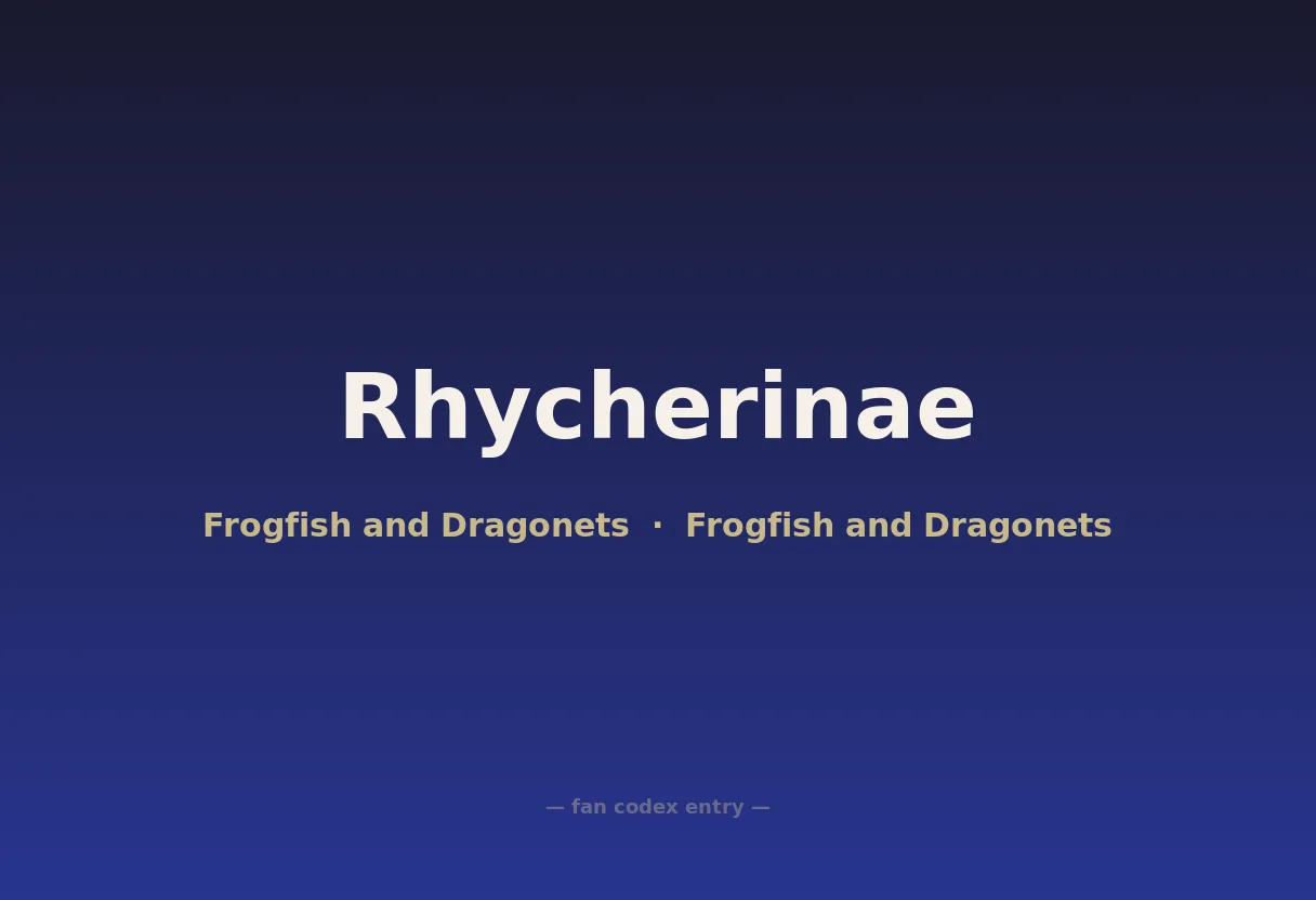 Rhycherinae