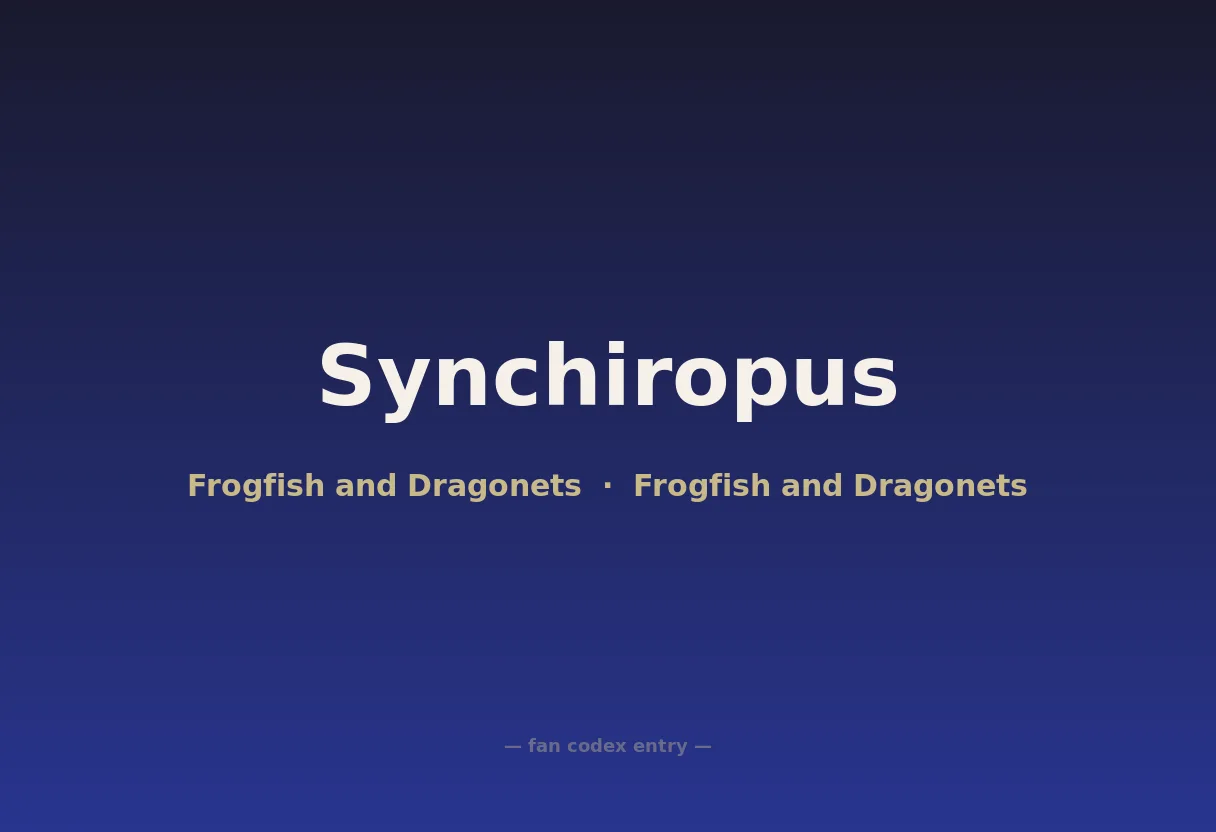 Synchiropus