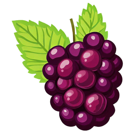 Blackberry Icon