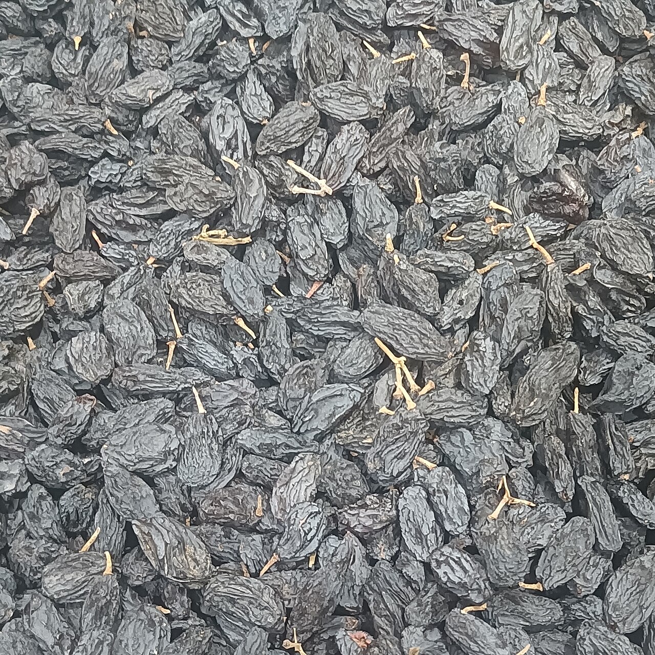 Dried blackcurrants