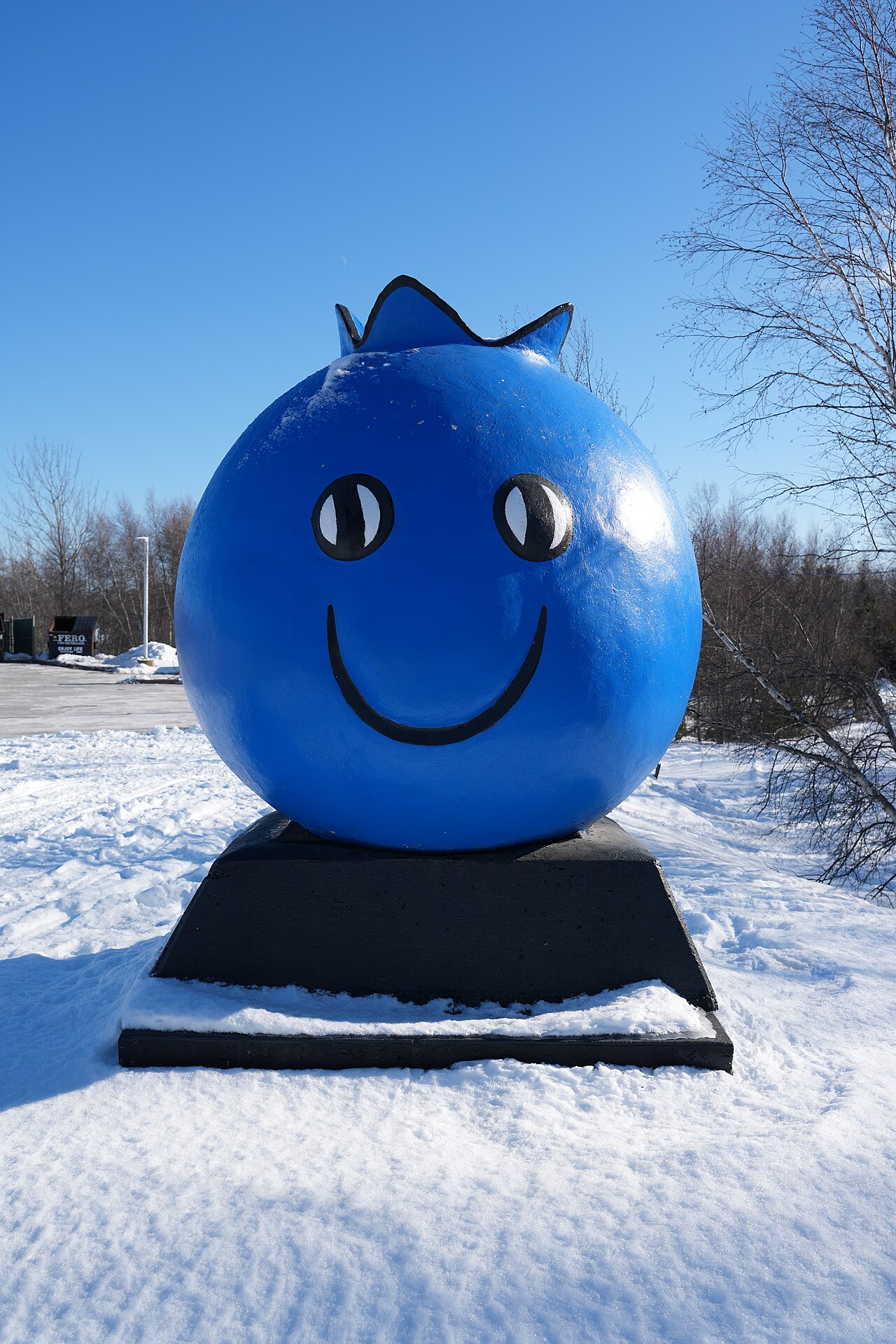 Blueberry Man in Oxford, Nova Scotia