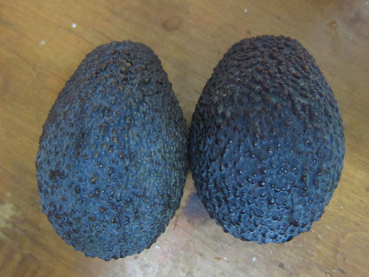 Avocado