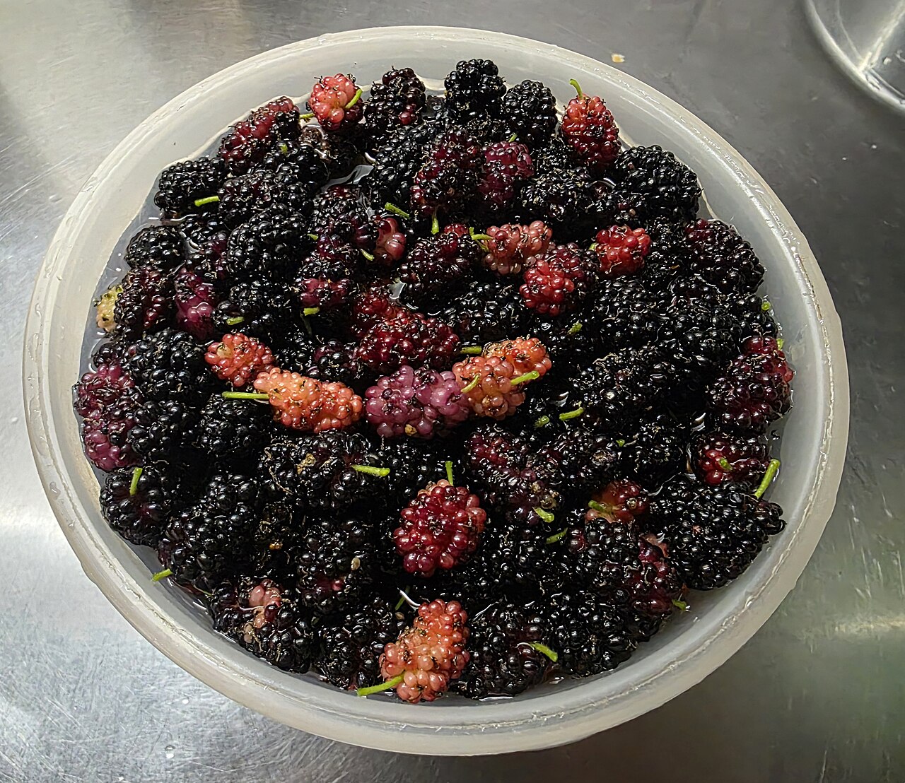 Blackberry