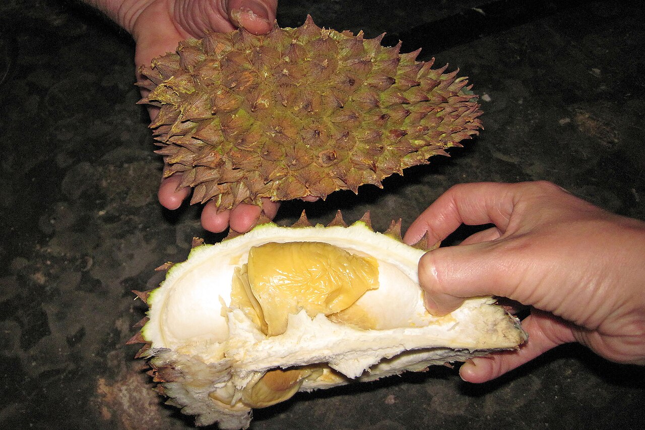 Durian