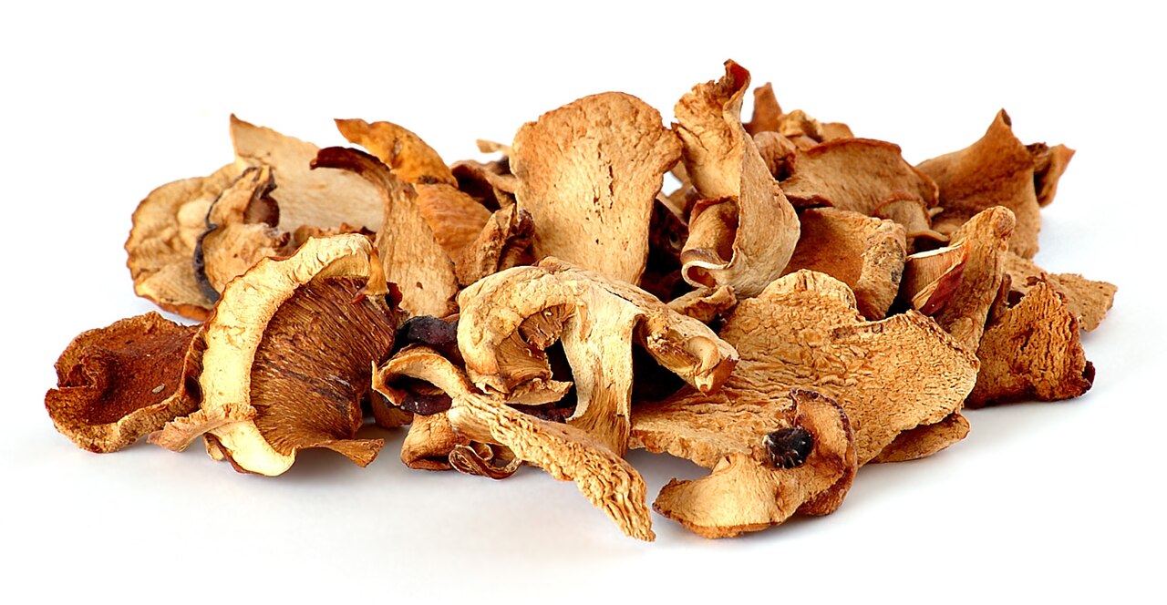 Edible mushroom