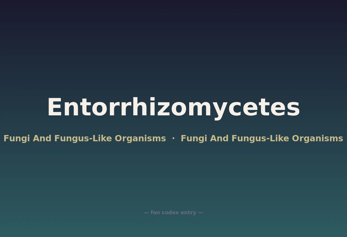 Entorrhizomycetes