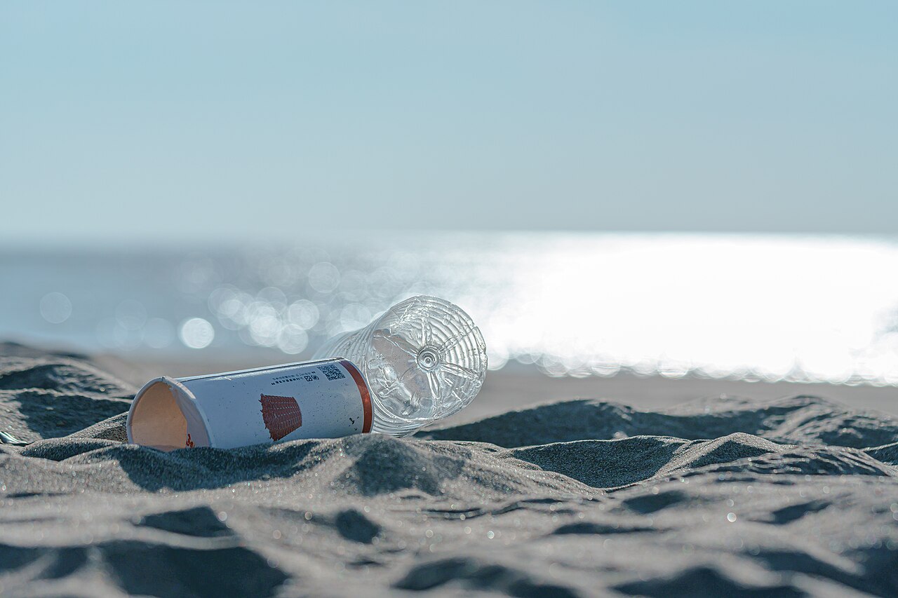 Paper cup