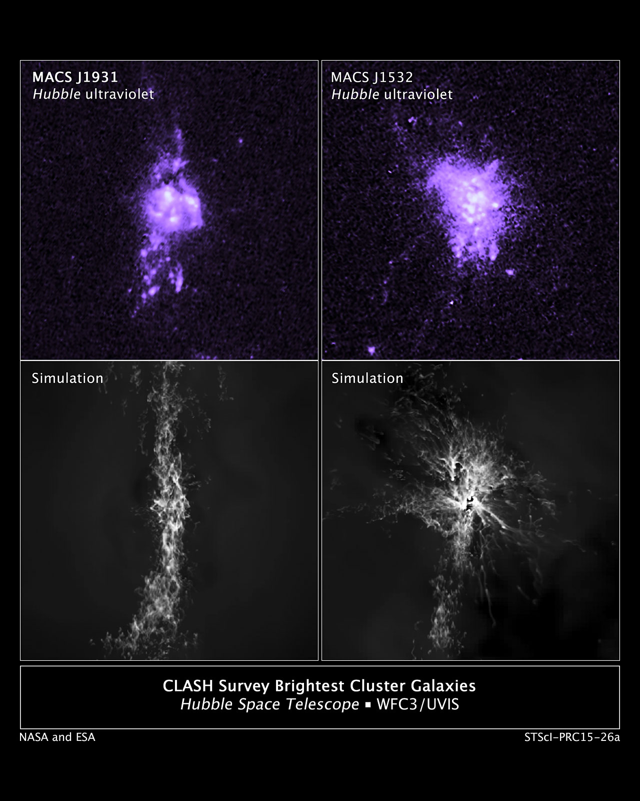 Brightest cluster galaxy