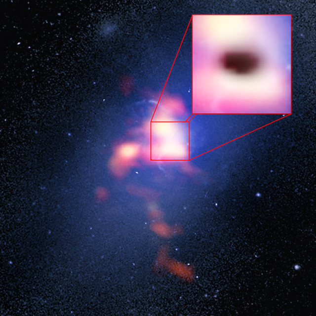 Brightest cluster galaxy
