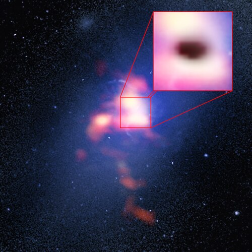 Brightest cluster galaxy