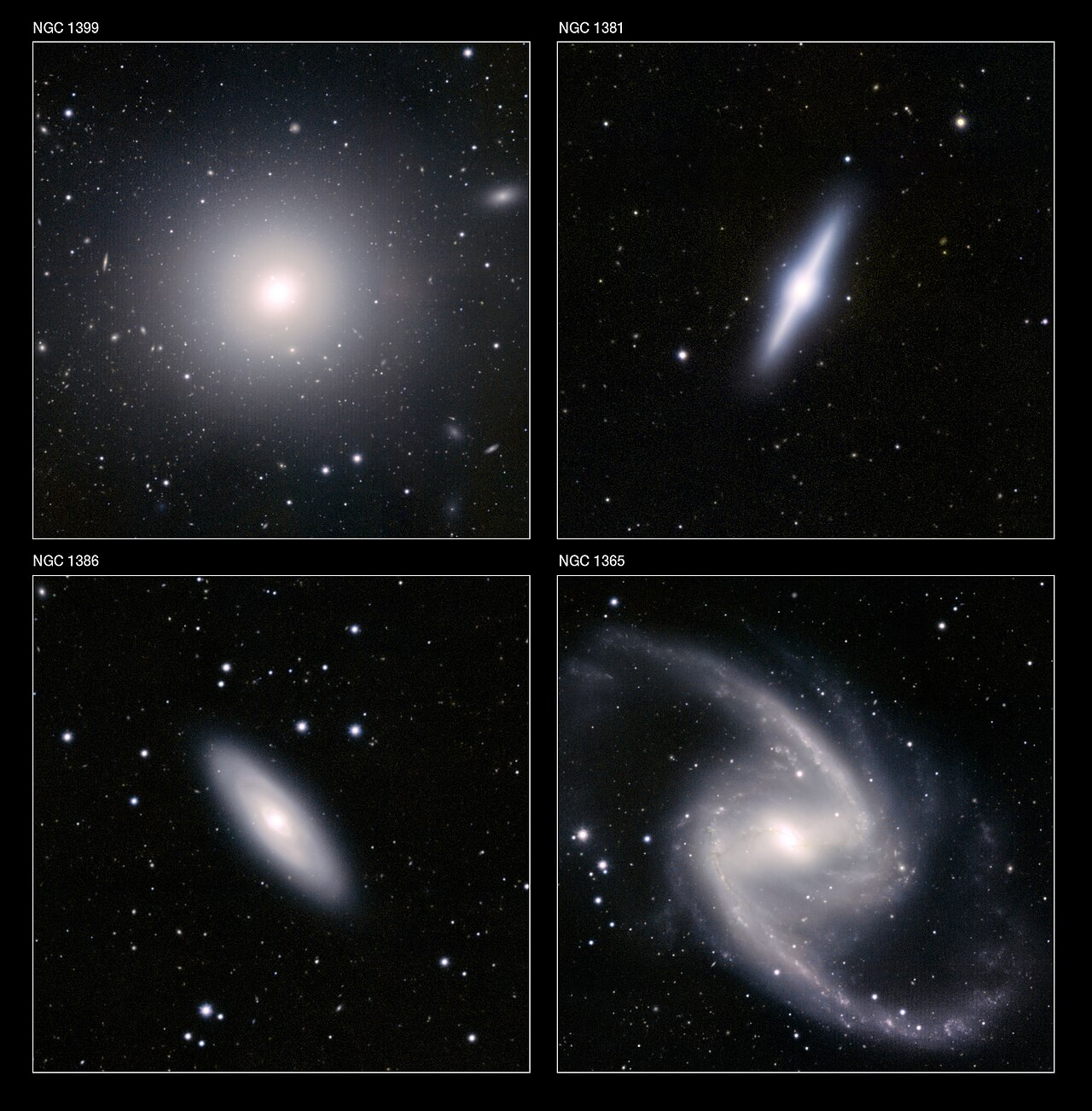 Brightest cluster galaxy