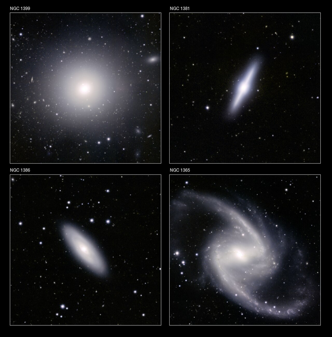 Brightest cluster galaxy