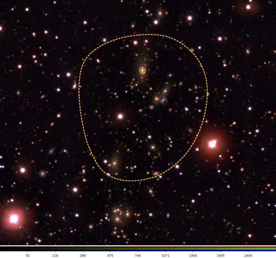 Brightest cluster galaxy