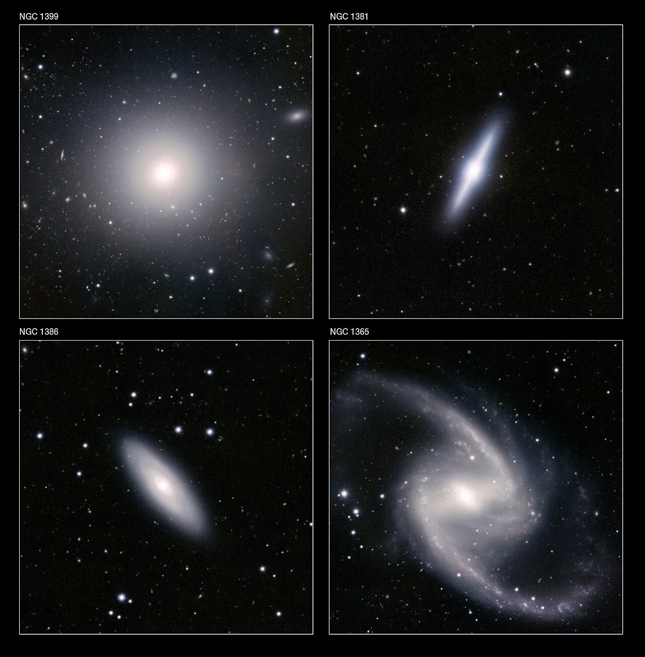 Brightest cluster galaxy