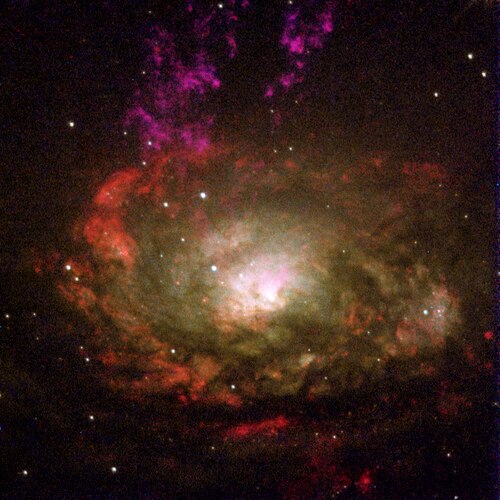 Field galaxy