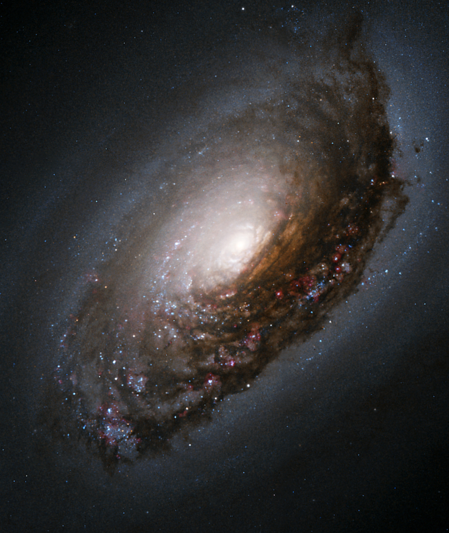 Field galaxy