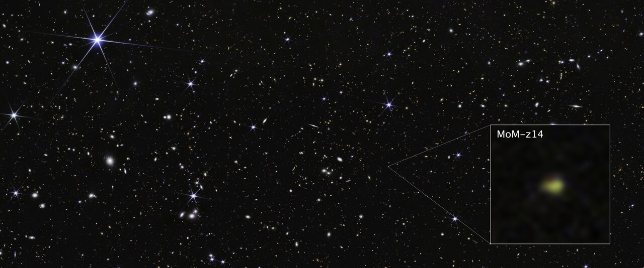 Field galaxy