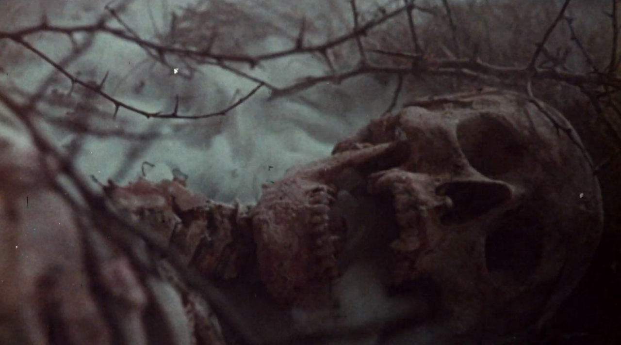 Dracula (2025 French film)