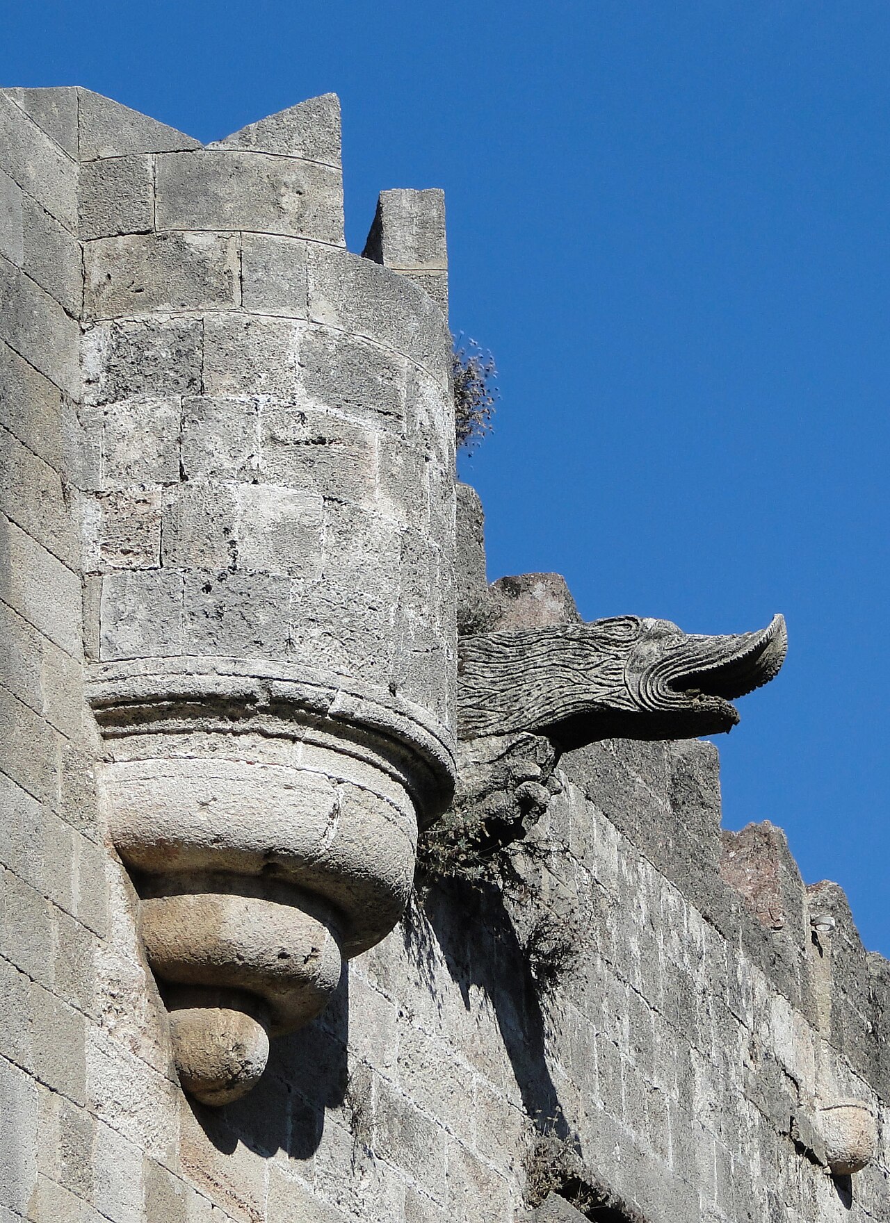 Gargoyle: Wings of Darkness