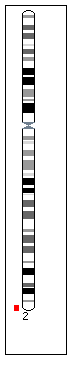 2q37 monosomy