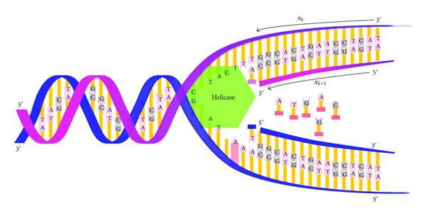 Central dogma of molecular biology