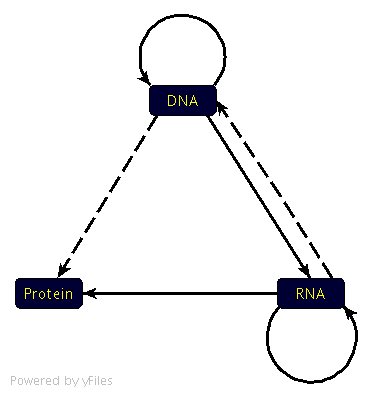 Central dogma of molecular biology