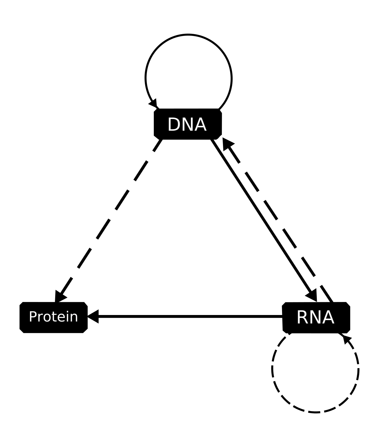 Central dogma of molecular biology