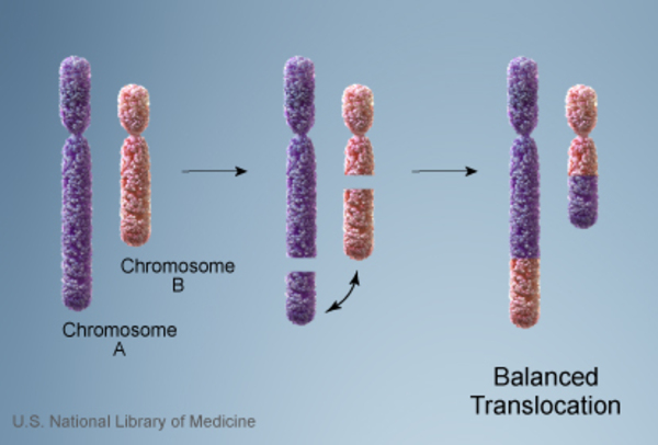 Chromosomal translocation