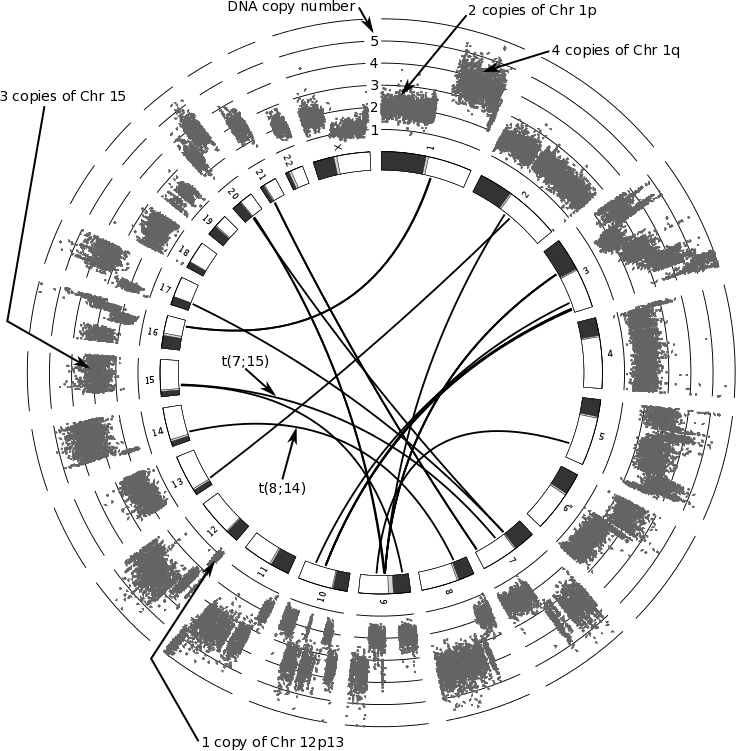Chromosomal translocation