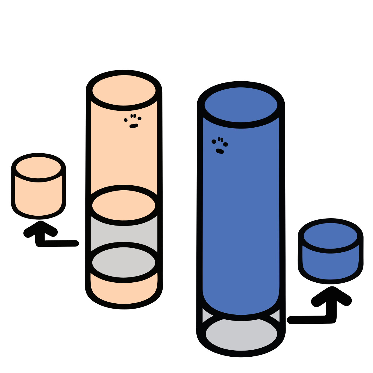 Chromosome abnormality