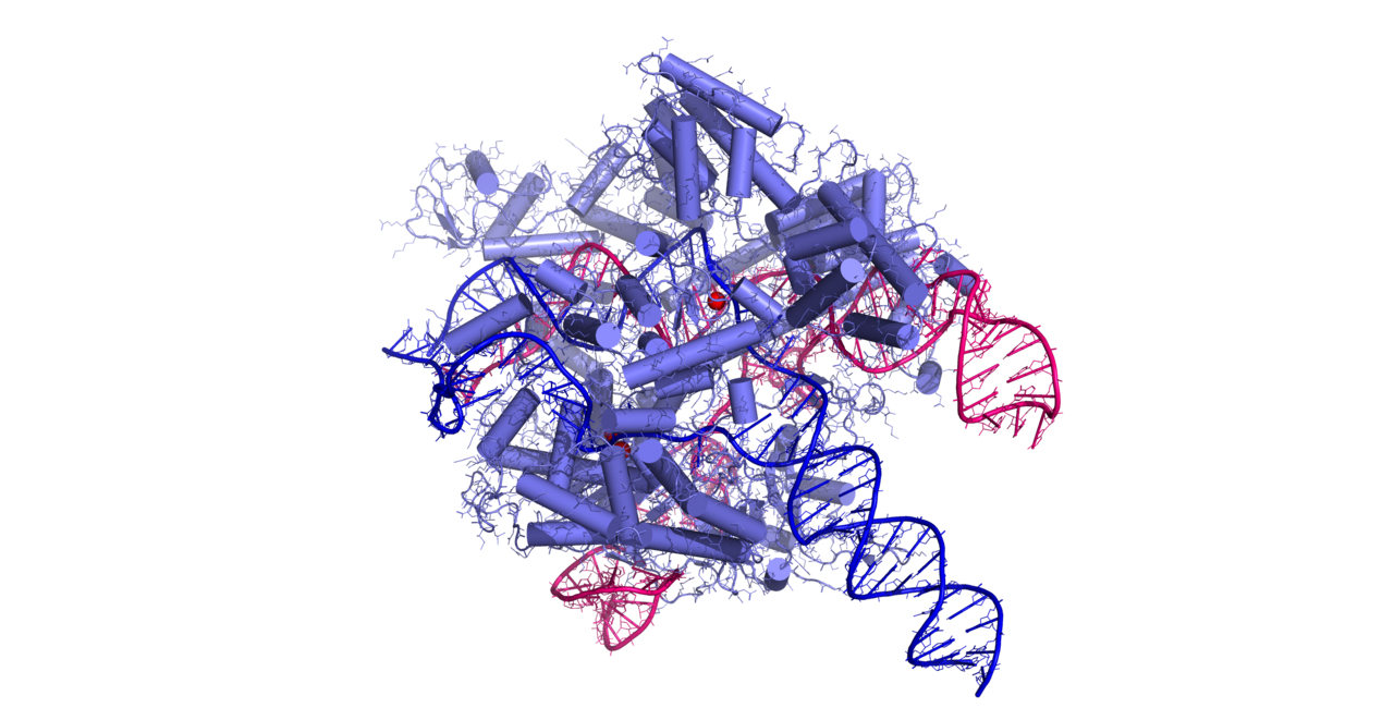 CRISPR