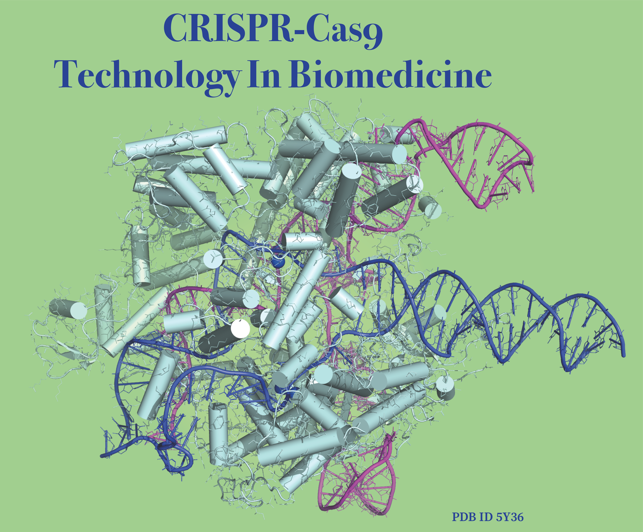CRISPR