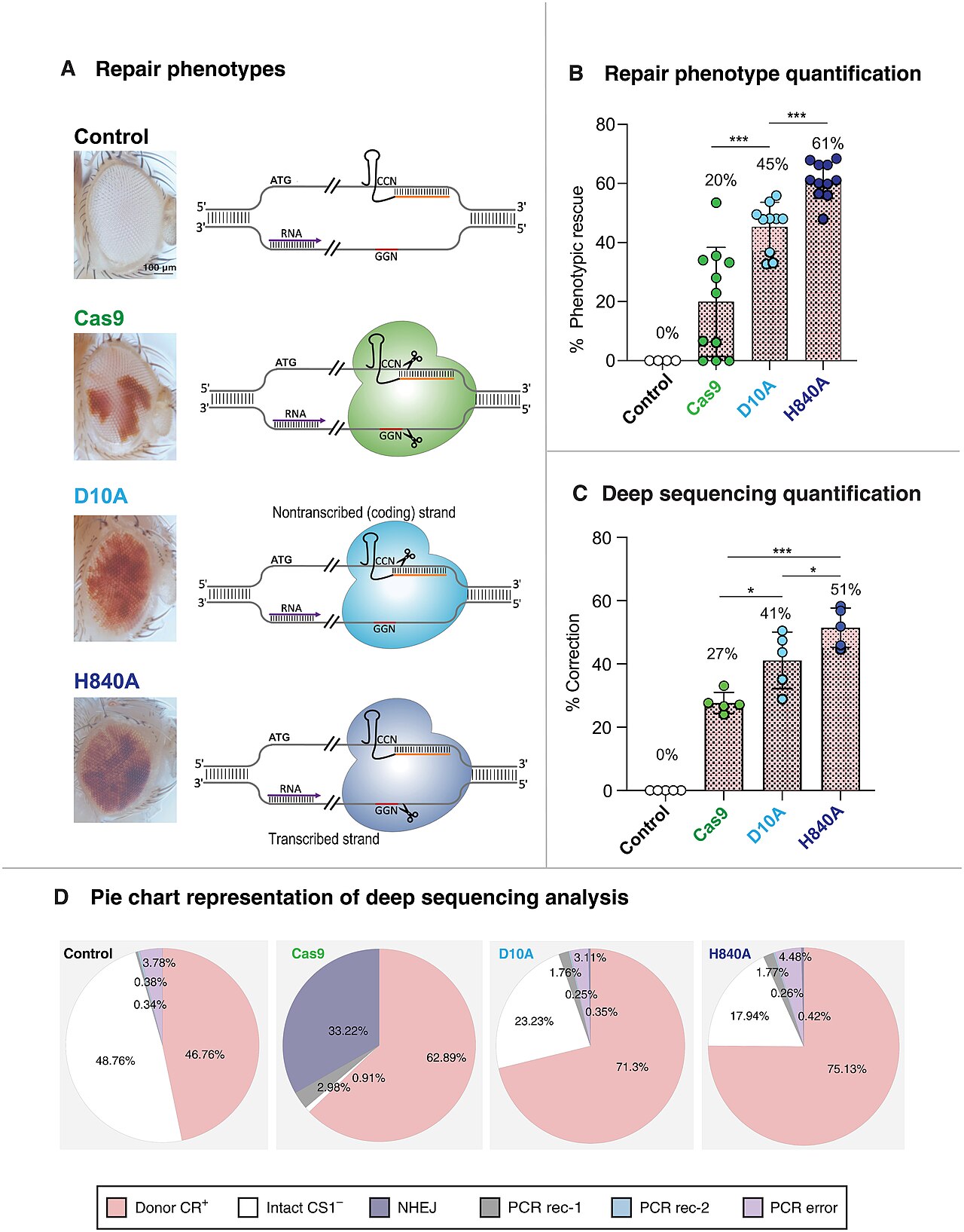 DNA repair