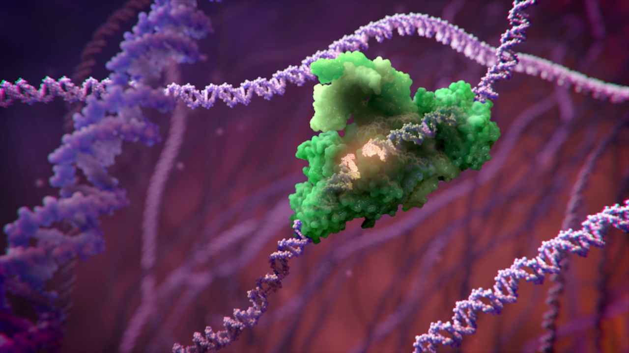 DNA repair
