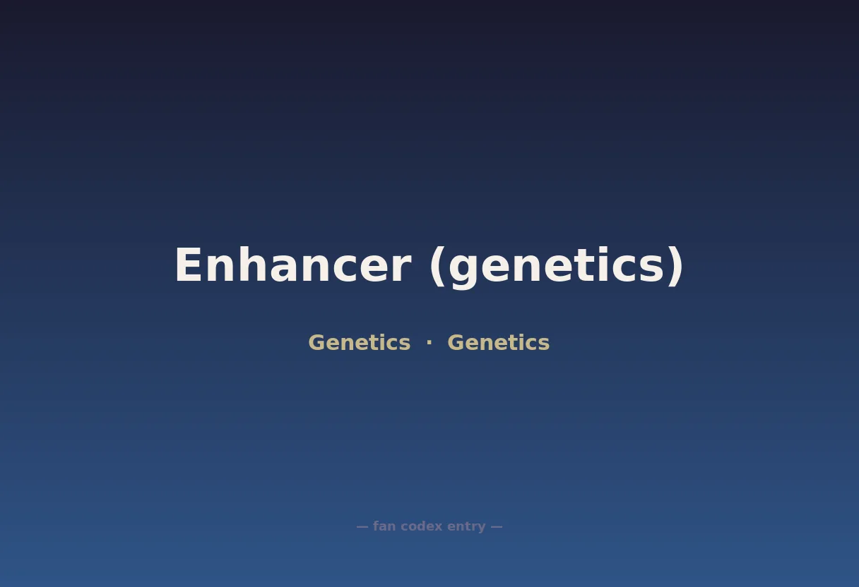 Enhancer (genetics)