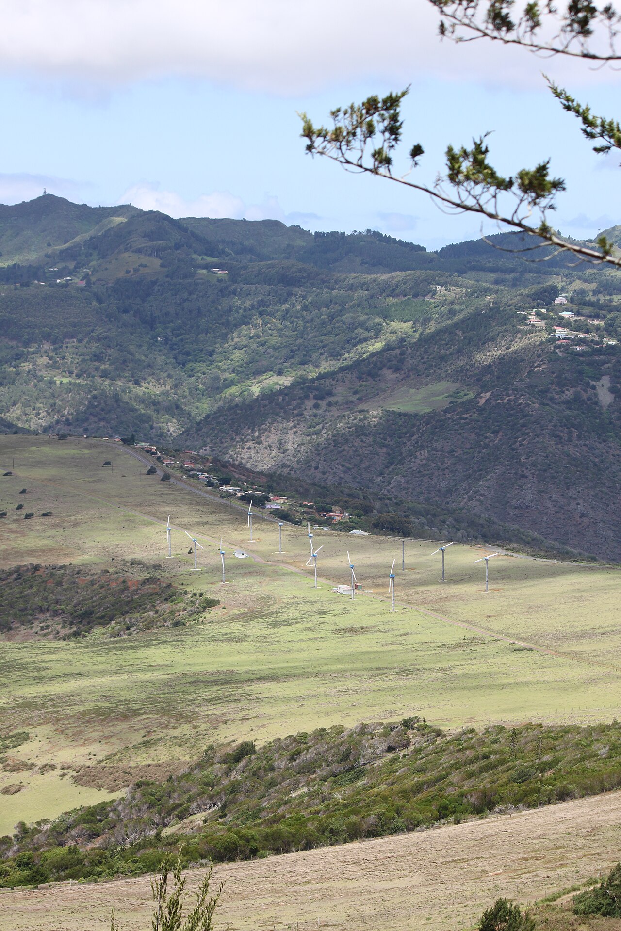 Deadwood Plain in Longwood