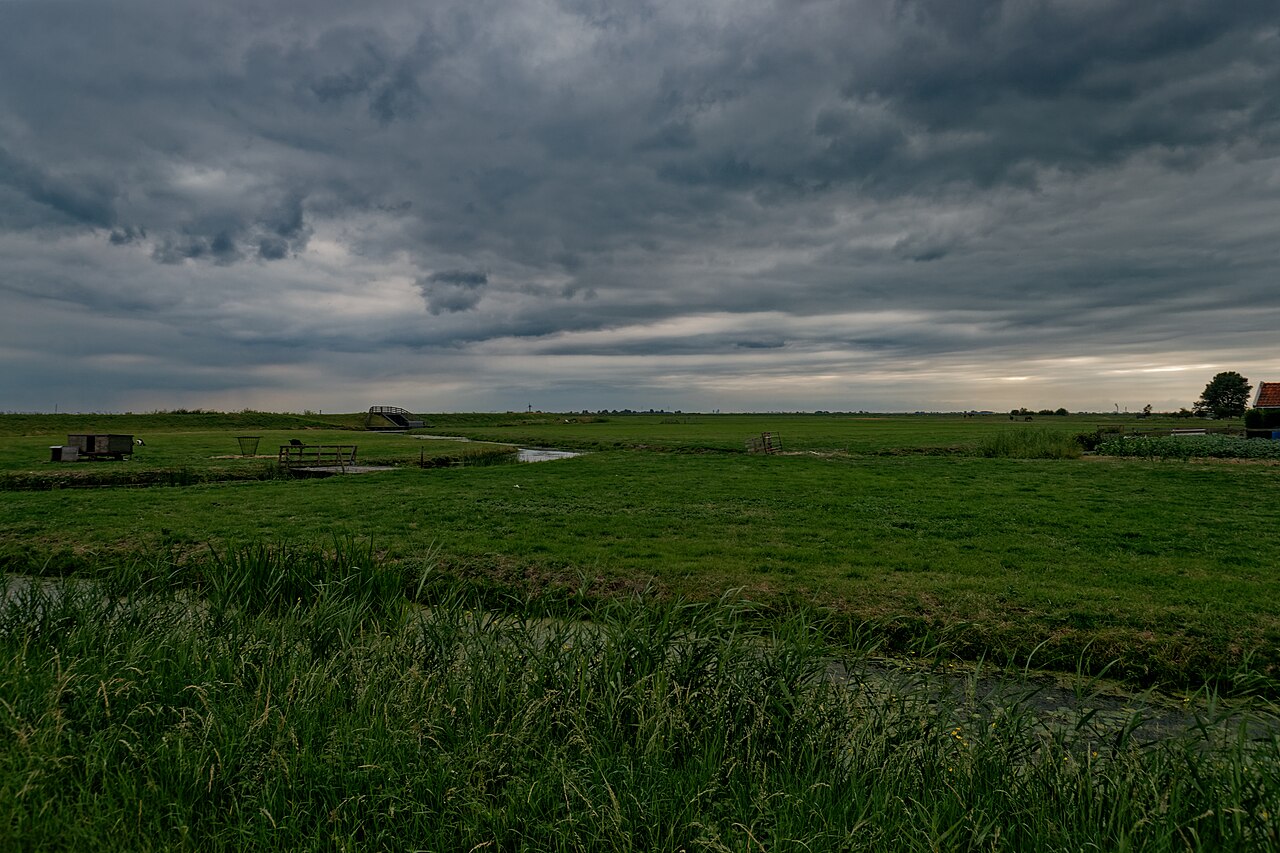 Marken - Polder between Rozewerf & Grotewerf - August 2010