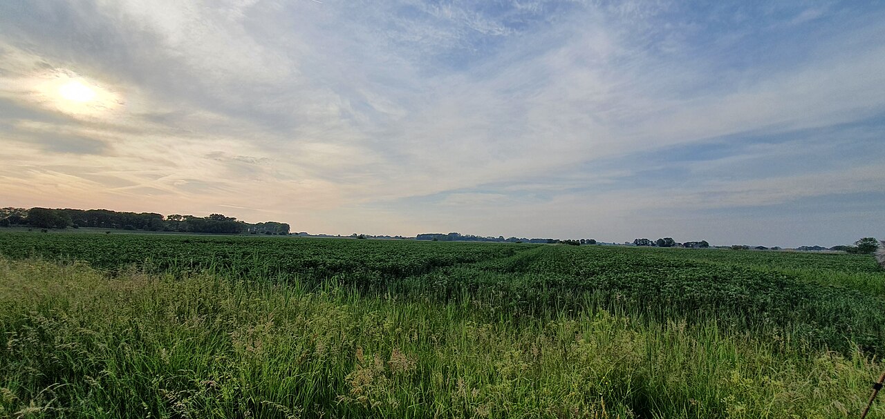 Polder Haarsteeg