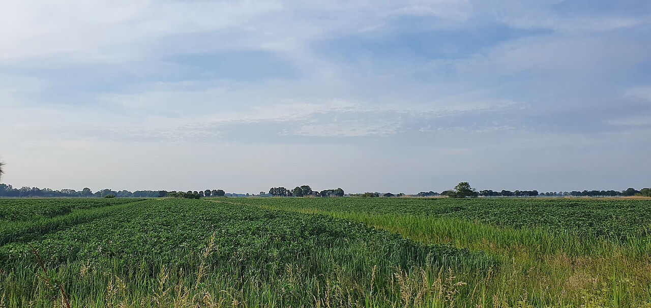 Polder Haarsteeg 2