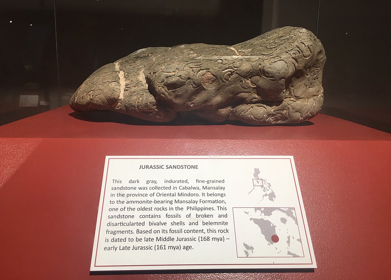A 160 million years old Jurassic Sandstone displayed at Philippine National Museum