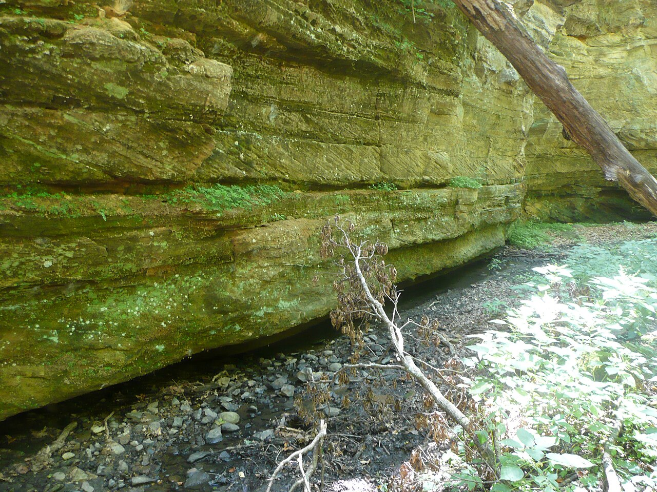 Boneyard Hollow Sandstone Cliff 1