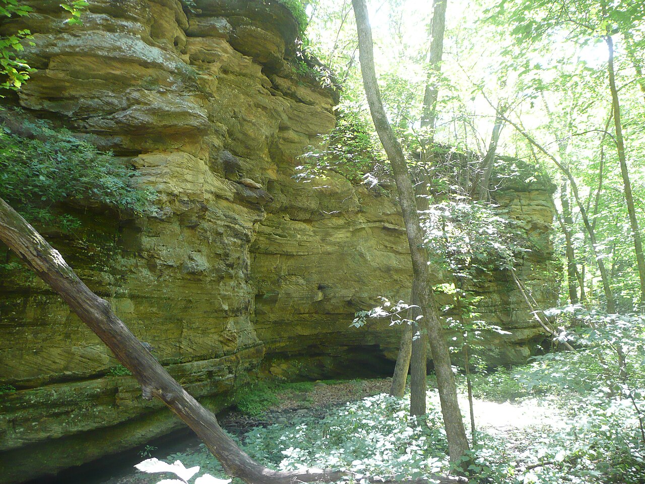 Boneyard Hollow Sandstone Cliff 2