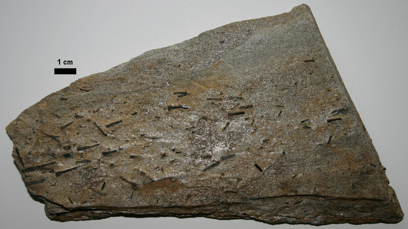 Amphibole schist White Elephant Mine we6