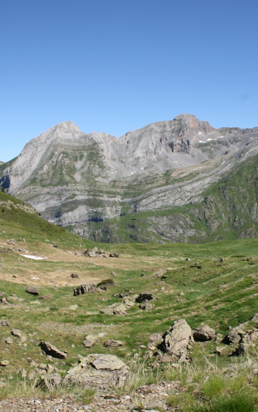 Fold mountains