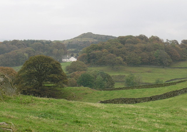 Fold mountains