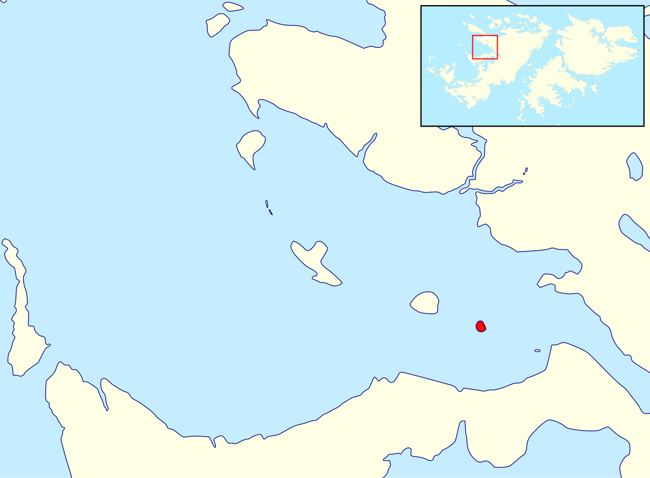 Hummock